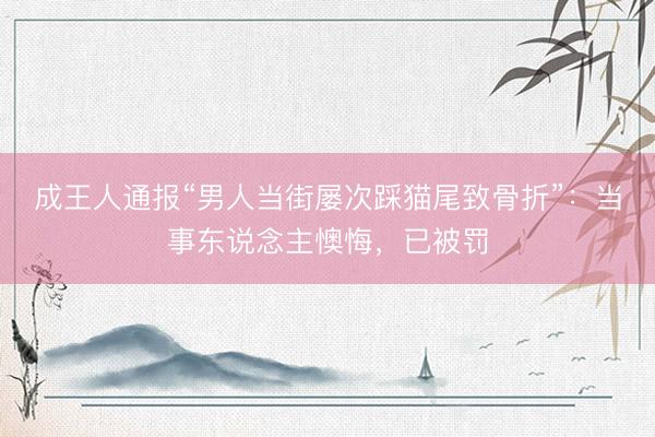 成王人通报“男人当街屡次踩猫尾致骨折”：当事东说念主懊悔，已被罚