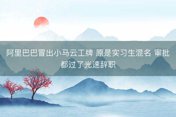阿里巴巴冒出小马云工牌 原是实习生混名 审批都过了光速辞职